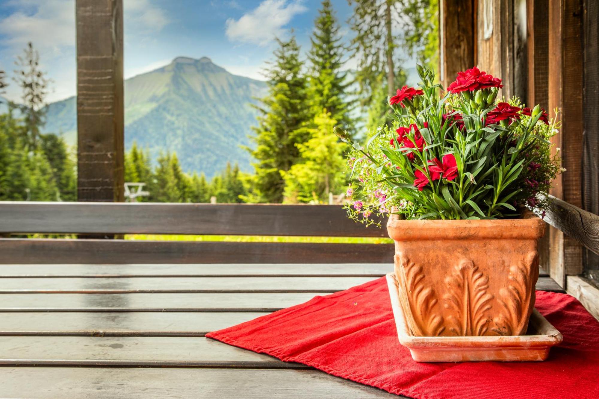 Schnaitstadl-Alm Selbstversorgerhuette Krispl ภายนอก รูปภาพ